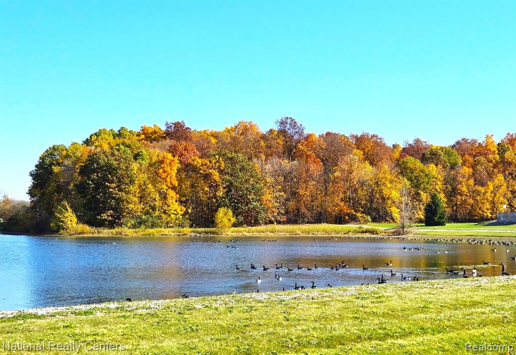 7653 Wood Brook Road, Ann Arbor, MI 48103 — Photo 3
