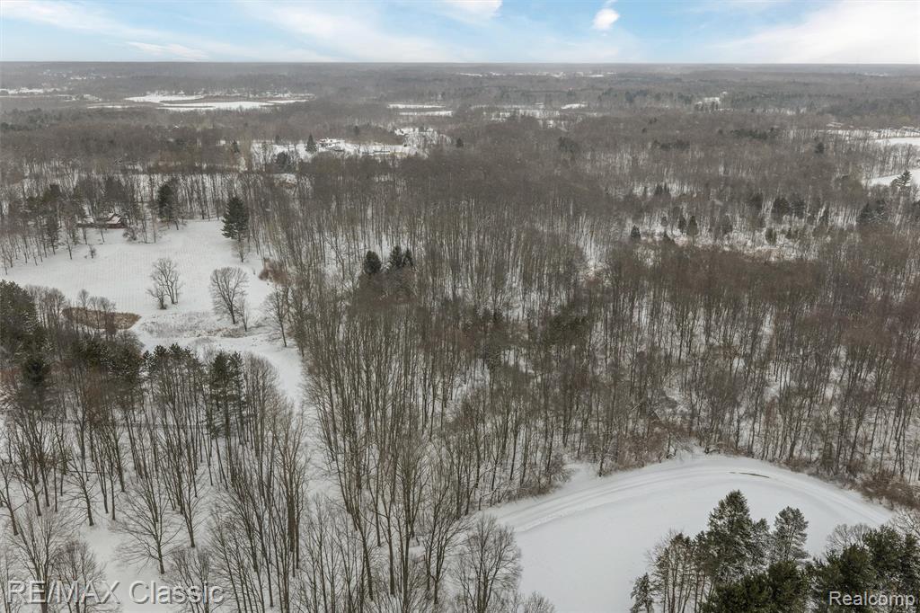 3737 Rock Valley, Metamora, MI 48455 — Photo 4