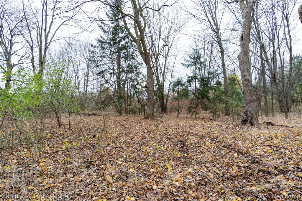 LOT 1 W WALTON, Waterford, MI 48329 — Photo 19