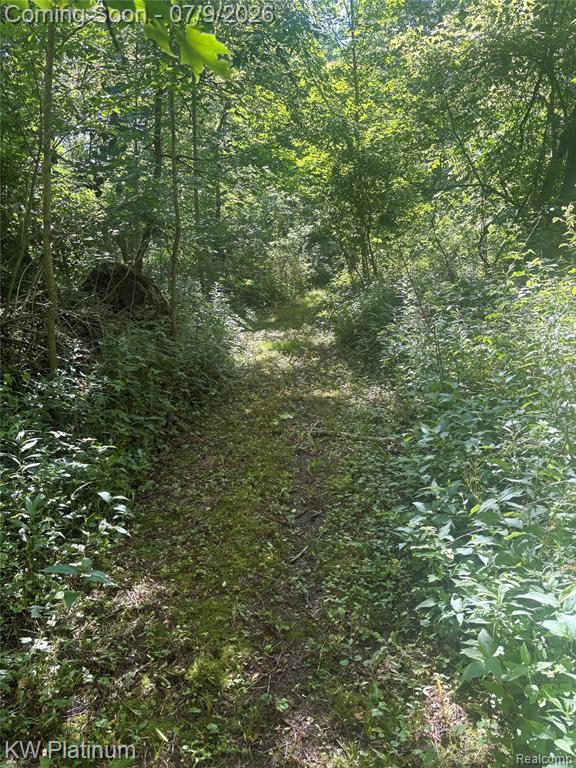 7280 North Road Road, Burtchville, MI 48059 — Photo 33