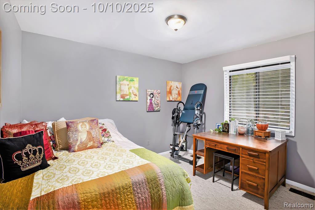 2933 Bullard Road, Hartland, MI 48353 — Photo 15