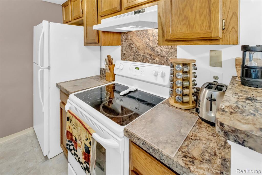 302 SPRING BROOKE Drive, Brighton, MI 48116 — Photo 9