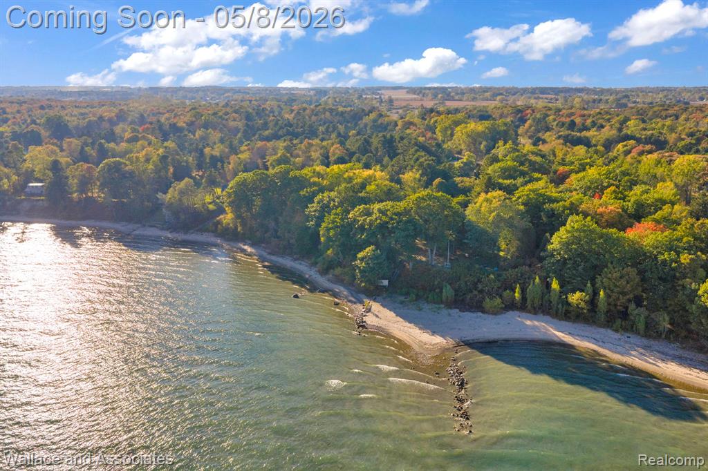 3941 Lakeshore Road, Lexington, MI 48450 — Photo 4