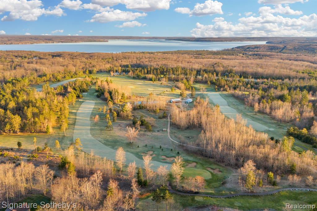6130 Cedar Drive, Hubbard Lake, MI 49747 — Photo 44