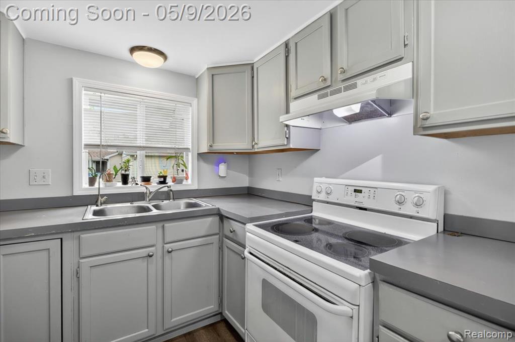 9809 Mandon Road, White Lake, MI — Photo 15