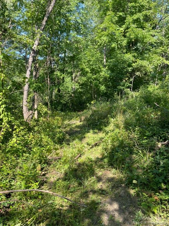 VL Denton Hills Road, Fenton, MI 48430 — Photo 7