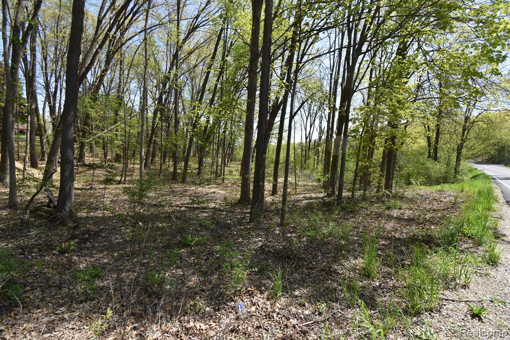 10146 ISLAND LAKE Road, Dexter, MI 48130 — Photo 2