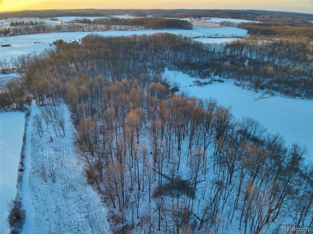 v/l W Us-12 Highway, Manchester, MI 48158 — Photo 26