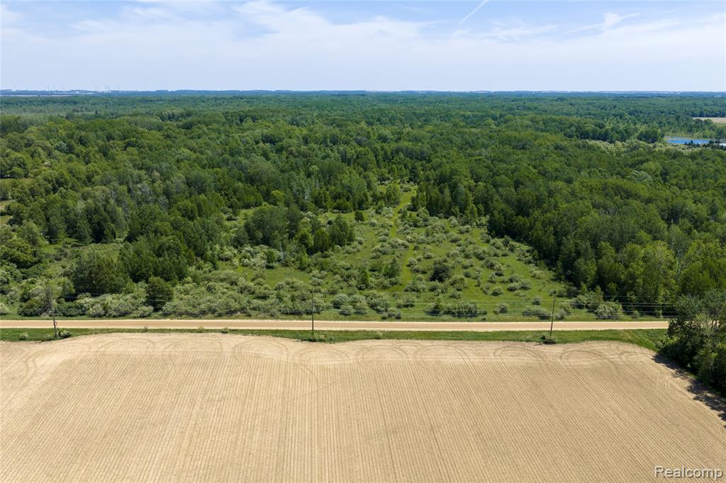 Parcel B Freiburger Rd, Snover, MI 48472 — Photo 5