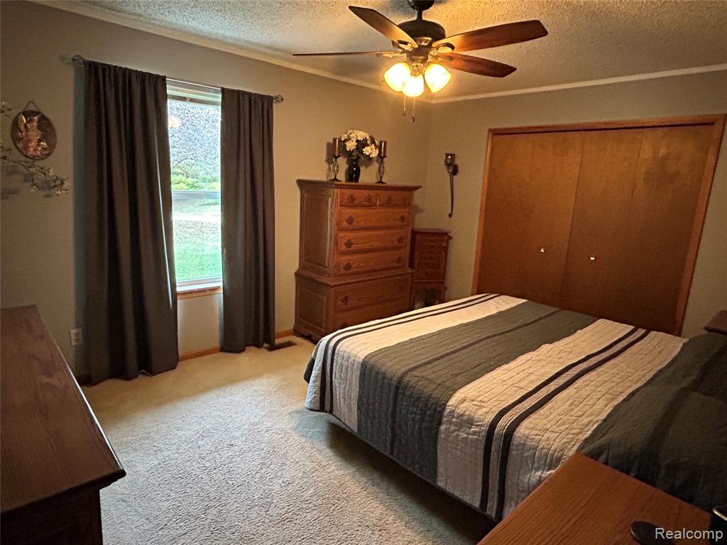 8812 S Byron Road, Gaines Vlg, MI 48436 — Photo 10
