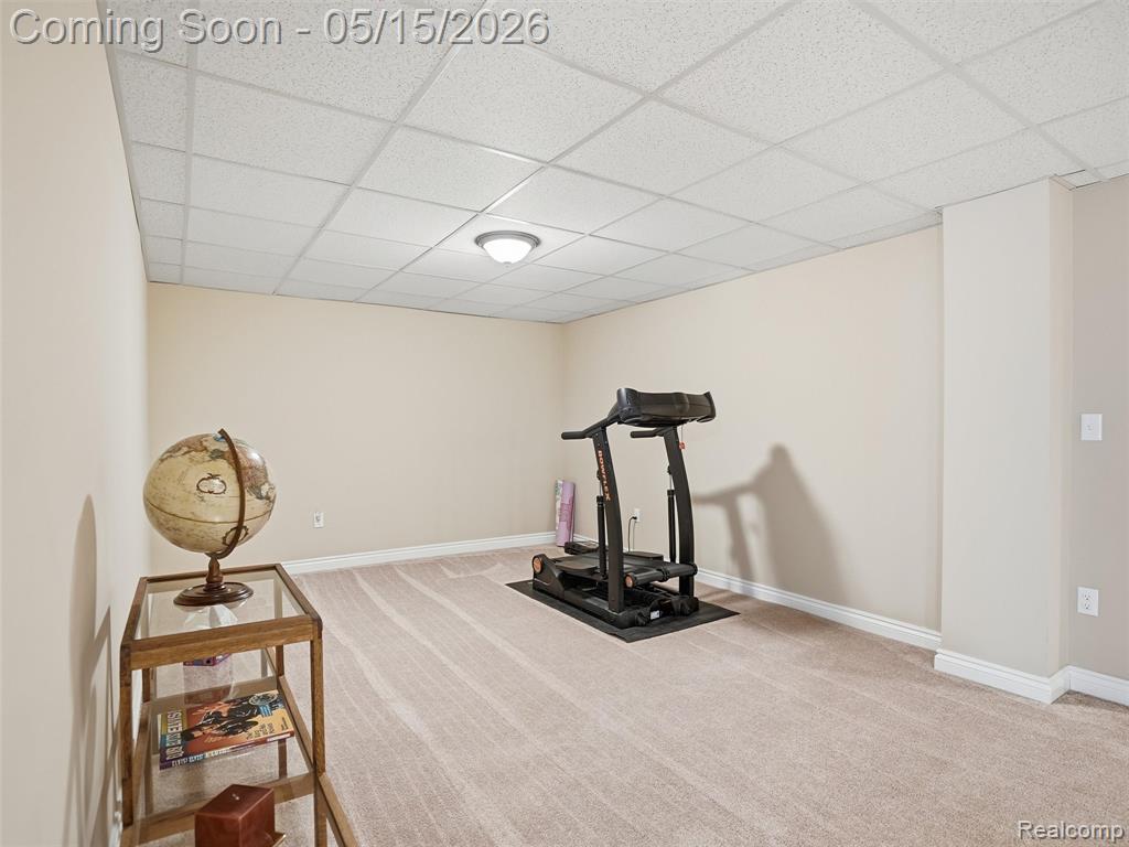 23656 Millwood, South Lyon, MI 48178 — Photo 42
