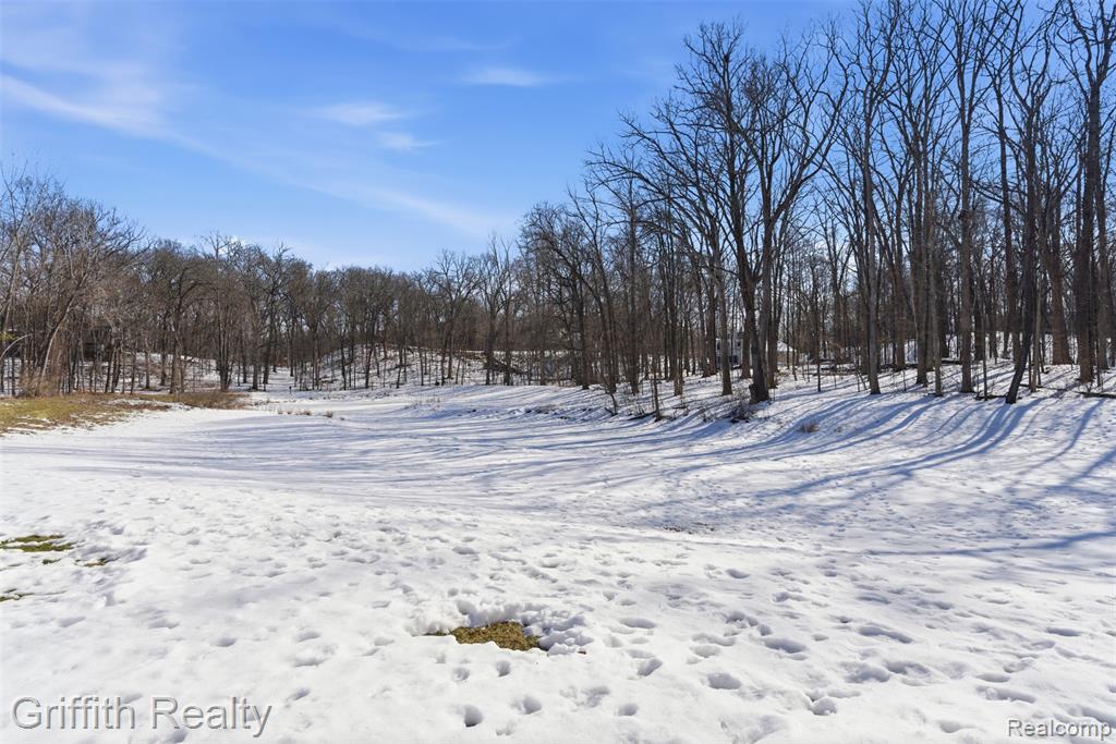 7524 Elmbrooke Way, Brighton, MI 48116 — Photo 50