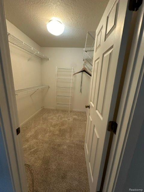 105 QUIET CREEK Circle, Chelsea, MI 48118 — Photo 26
