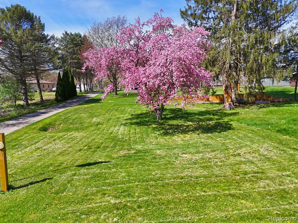 11575 Us Highway 31, Berrien Springs, MI 49103 — Photo 27