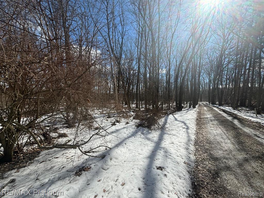 V/L TIPSICO LAKE ROAD, Holly, MI 48442 — Photo 2