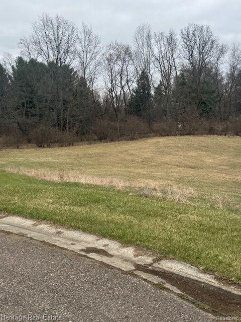 Lot 12 Rosy Drive, Leonard, MI 48367 — Photo 6