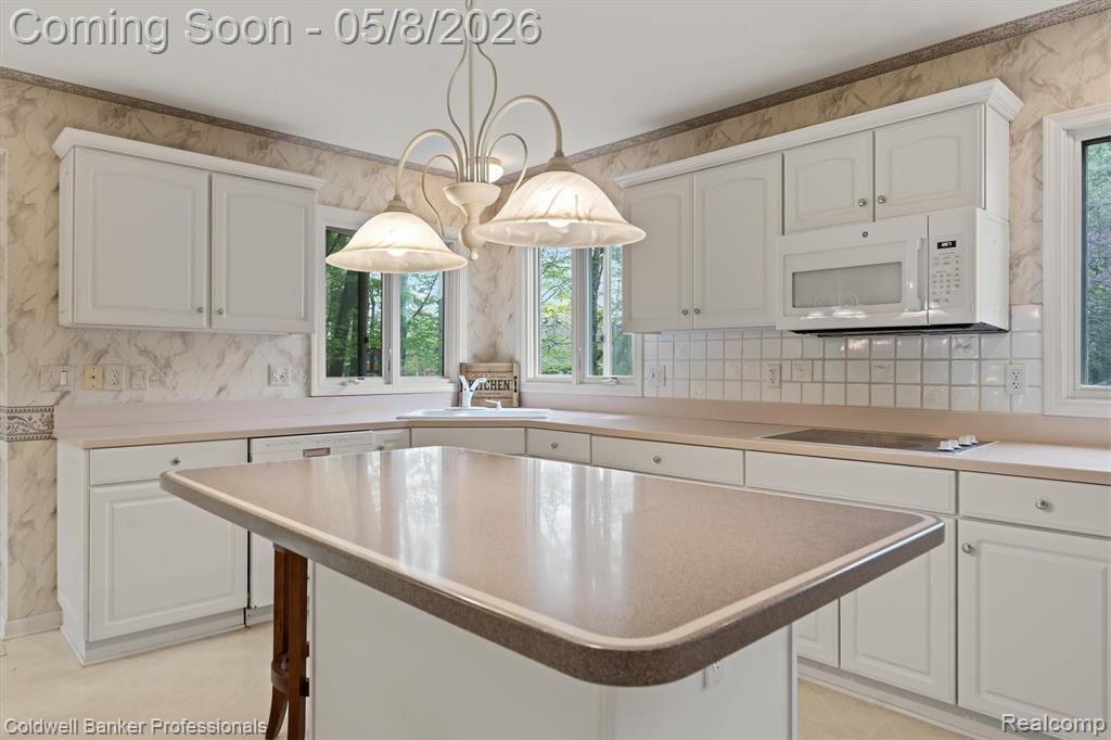 46770 Southview Lane, Plymouth, MI 48170 — Photo 12