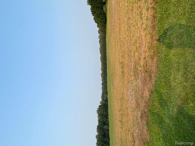 7762 Mason Road, Yale, MI 48097 — Photo 17