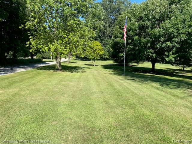 4615 Five Lakes Road, North Branch, MI 48461 — Photo 4