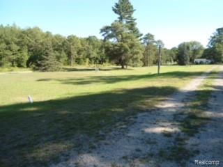 6449 Seminole Street, Oscoda, MI 48750 — Photo 13