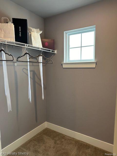 52905 WELLINGTON VALLEY Drive, Macomb, MI 48042 — Photo 31