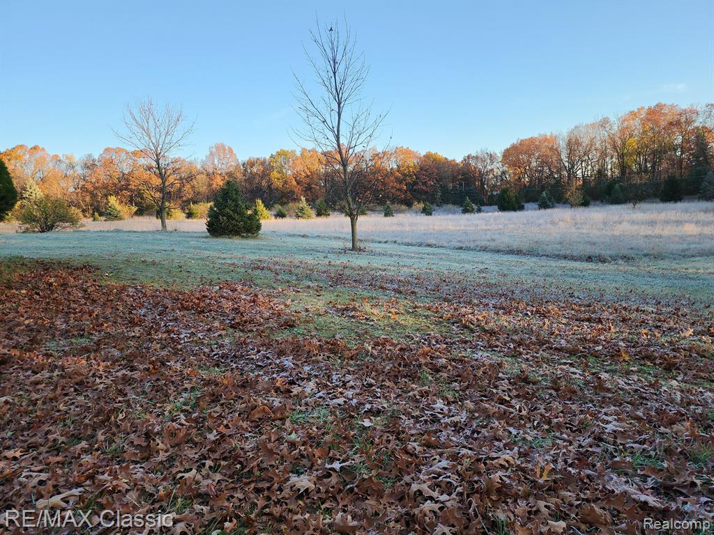 4125 N TIPSICO LAKE Road, Hartland, MI 48353 — Photo 29