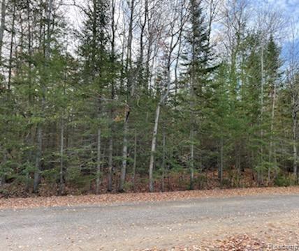 000 St. Clair Highway, Casco, MI, 48064