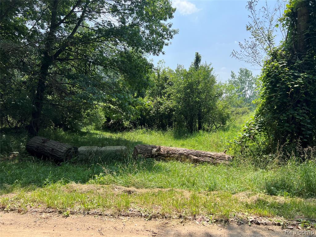 6197 Sober Road, Fowlerville, MI 48836 — Photo 22