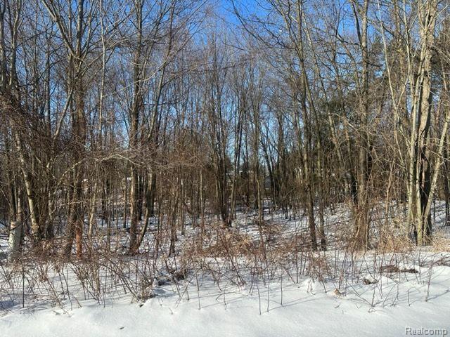Lot 21 Forest Gate, Grand Blanc, MI 48439 — Photo 3