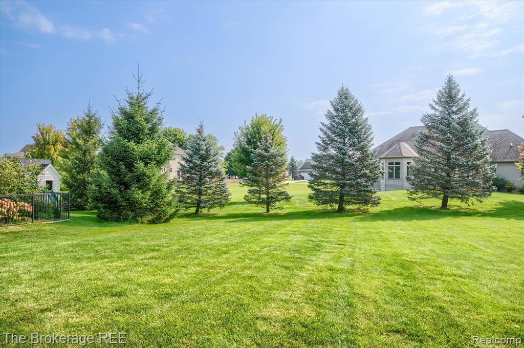 8441 MAPLEVIEW Drive, Davison, MI 48423 — Photo 6