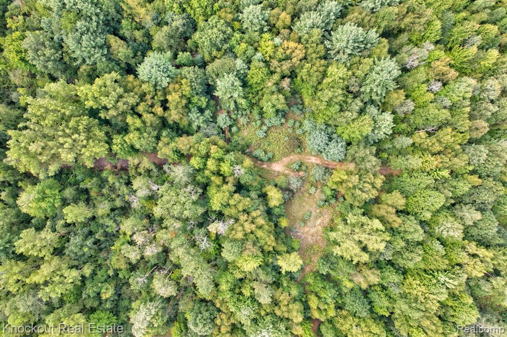 4770 Swaffer Road, Millington, MI 48746 — Photo 42