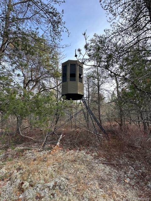 VL W AuSable Point Road, Oscoda, MI 48750 — Photo 4