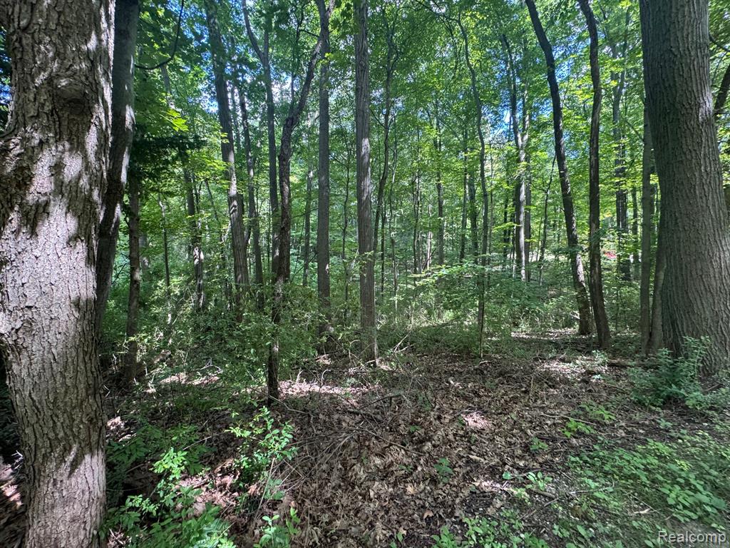 3711 Baldwin Road, Metamora, MI 48455 — Photo 62