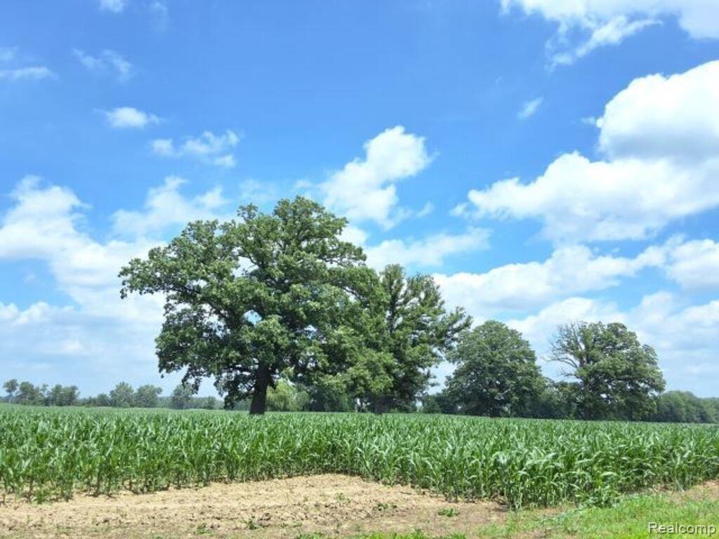 AUCTION Lot #3 10 acres Dryden Road, Capac, MI — Photo 2