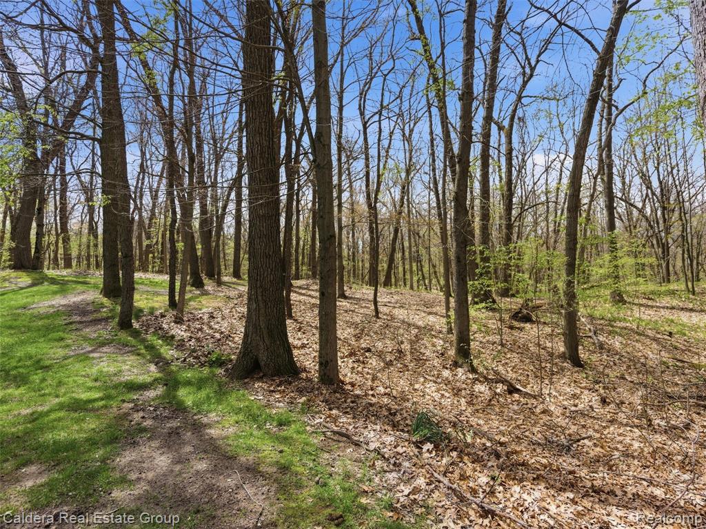 4416 Medford Hill Drive, Metamora, MI 48455 — Photo 56