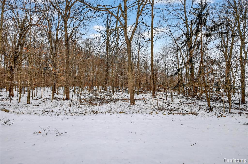 1500 Frost Road, Williamston, MI 48895 — Photo 36