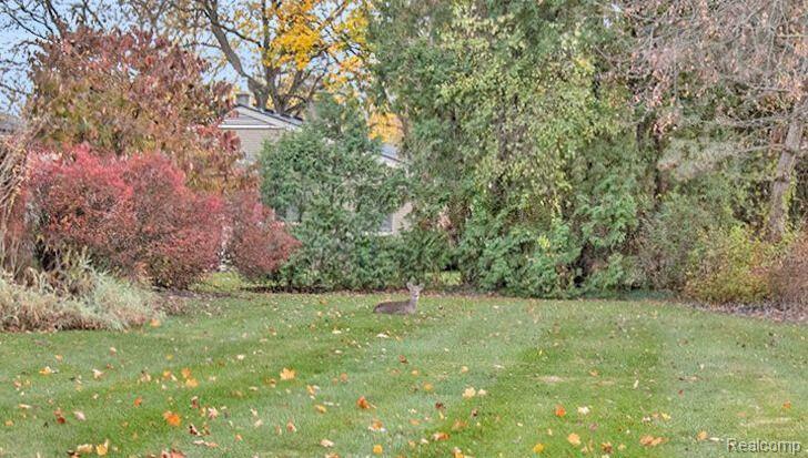 5730 Burnham Road, Bloomfield Hills, MI 48302 — Photo 21