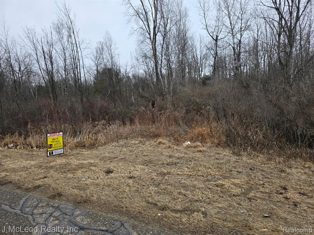 4900 W Saginaw Road, Vassar, MI 48768 — Photo 28