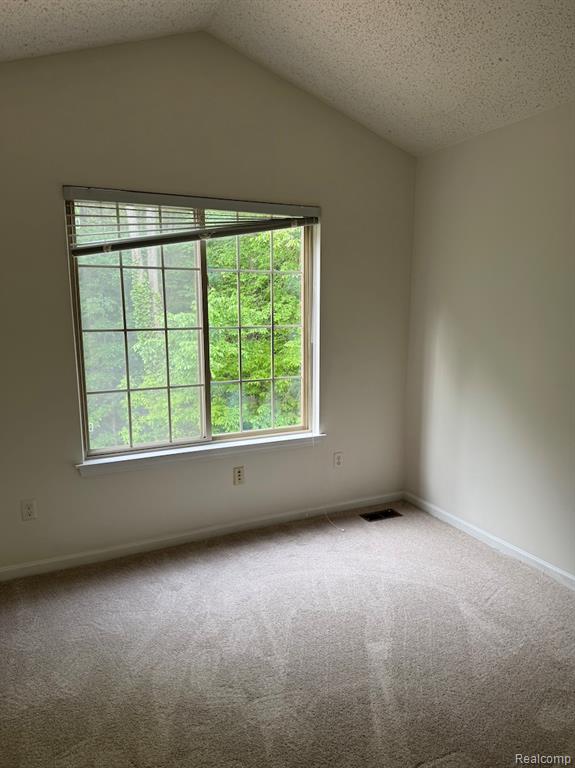 5717 Villa France Avenue, Ann Arbor, MI 48103 — Photo 16