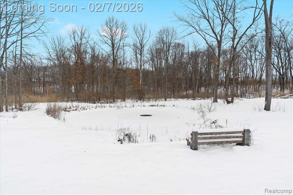 411 Rush Lake Road, Pinckney, MI 48169 — Photo 39