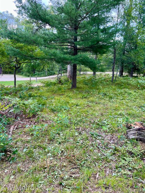 6629 S Tampa, Idlewild, MI 49642 — Photo 6