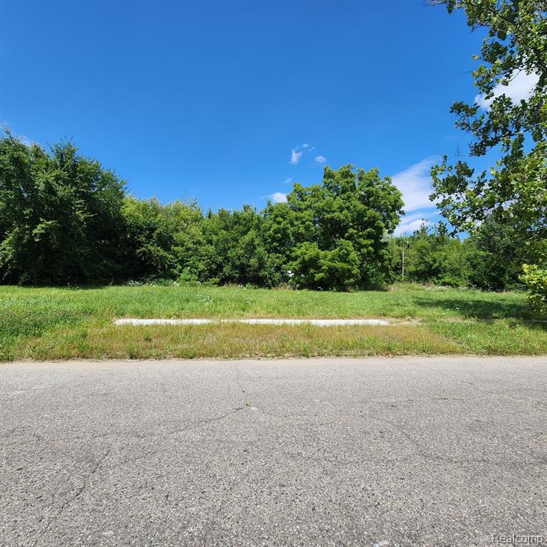 945 E EUCLID Street, Detroit, MI 48211 — Photo 3