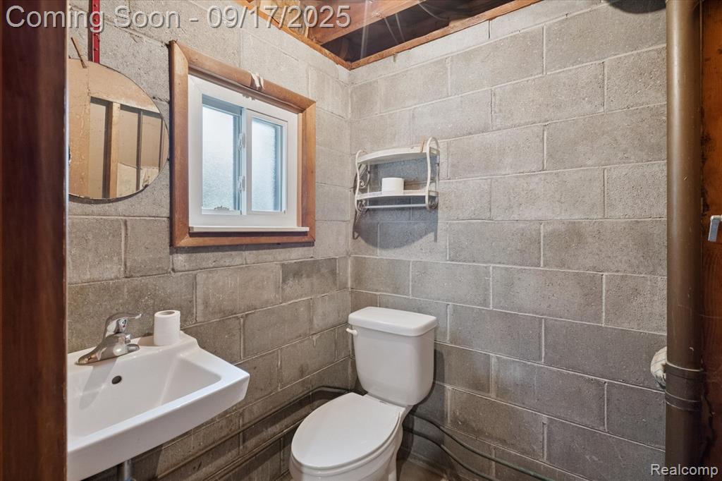 6185 Wildrose Lane, Burtchville, MI 48059 — Photo 25