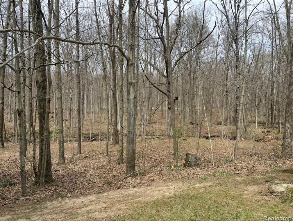 7312 LINDEN Road, Fenton, MI 48430 — Photo 56