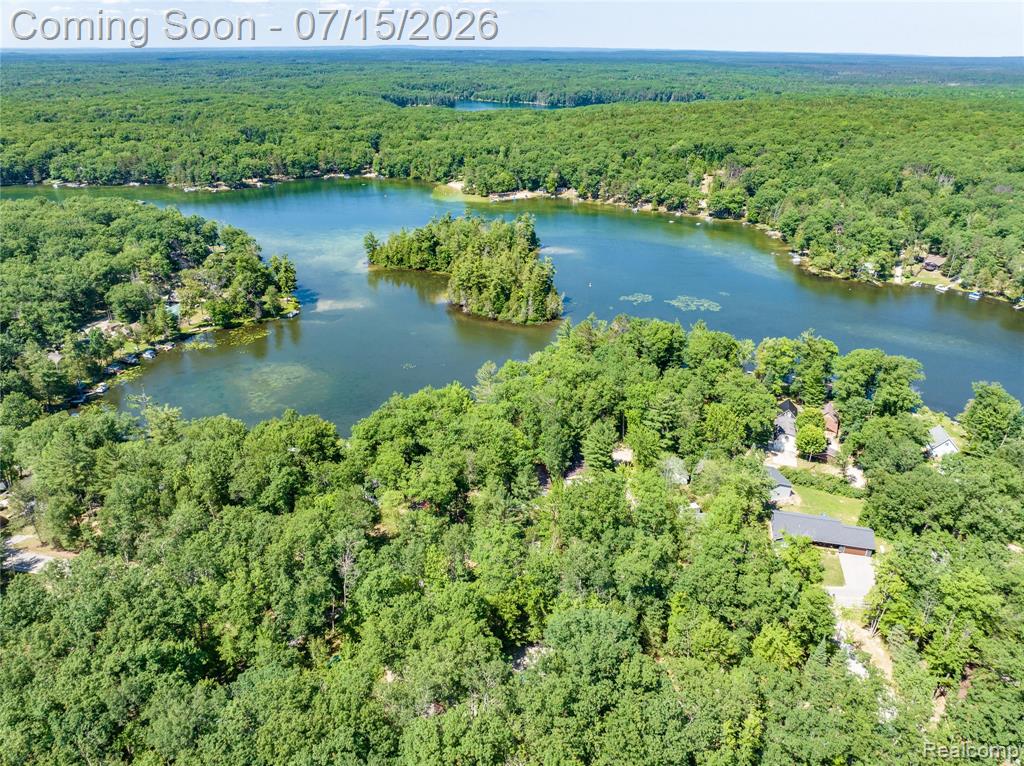 371 Dyer Road, Rose City, MI 48654 — Photo 21