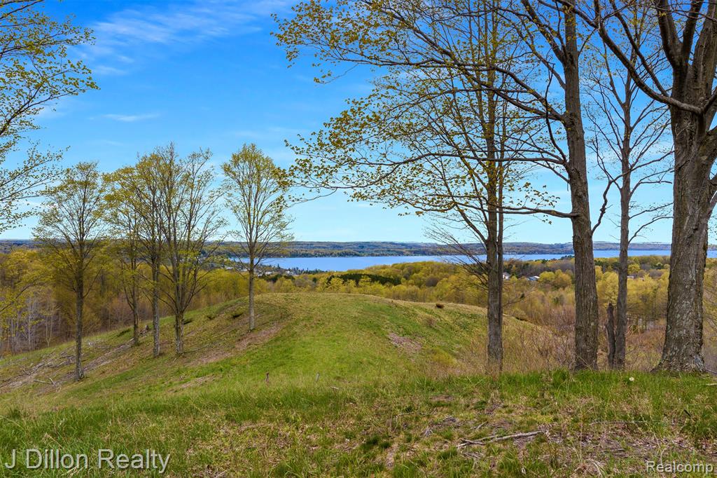Lot 16 Wild Laurel Lane, Beulah, MI 49617 — Photo 2