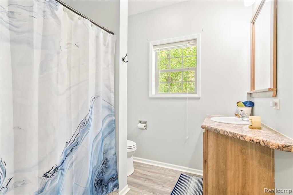 11541 McFall Drive, Willis, MI 48191 — Photo 28