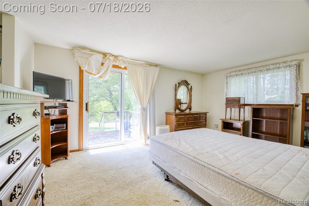 9550 Kies Road, Manchester, MI 48158 — Photo 24