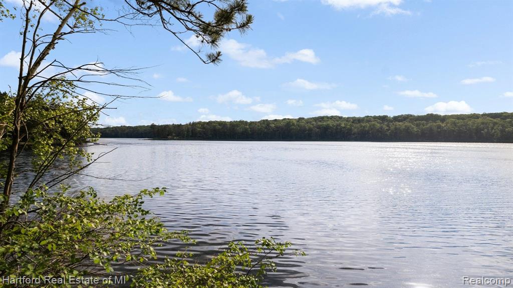 7643 K P LAKE ROAD, Grayling, MI 49738 — Photo 51
