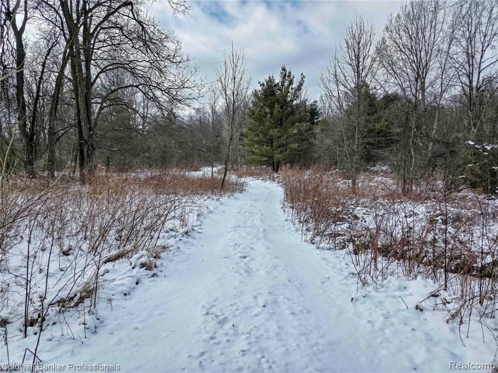 VL Columbiaville Road, Columbiaville, MI 48421 — Photo 16